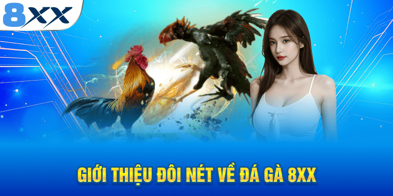 Giới thiệu đôi nét về sảnh