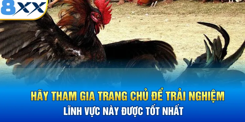 Hãy tham gia trang chủ để trải nghiệm lĩnh vực này được tốt nhất