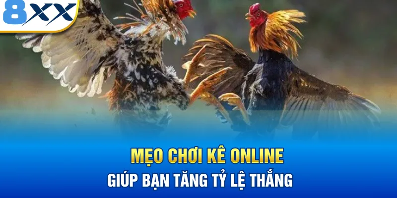 Mẹo chơi kê online giúp bạn tăng tỷ lệ thắng 