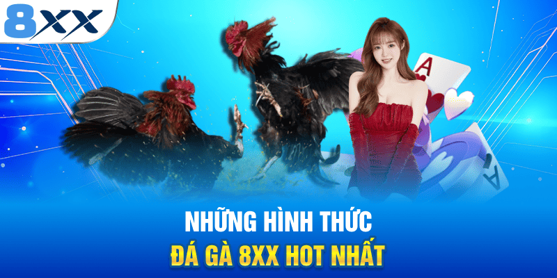 Những hình thức đá gà 8XX hot nhất